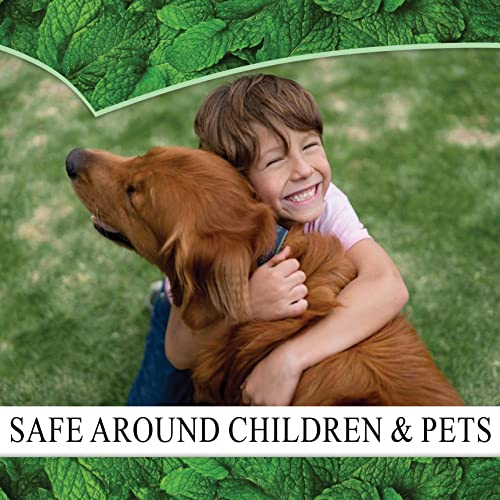 Puremint Spider Repellent, 128 Fl Oz #TOP4