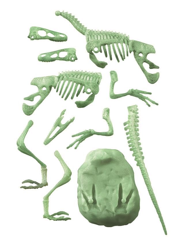 Clementoni Science&Play Dig & Discover - Velociraptor, Dino Kit for Kids 6+ Years, Made in Italy, 75126, 15cm x 5.5cm x 21cm - Image 4