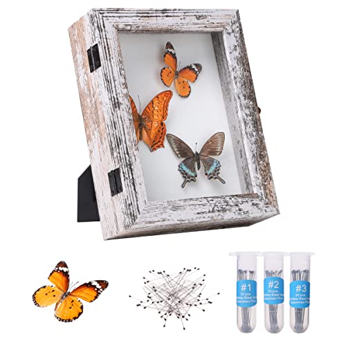 IHEIPYE Insect Display Case Bug Display Case Shadow Box Small Rustic White