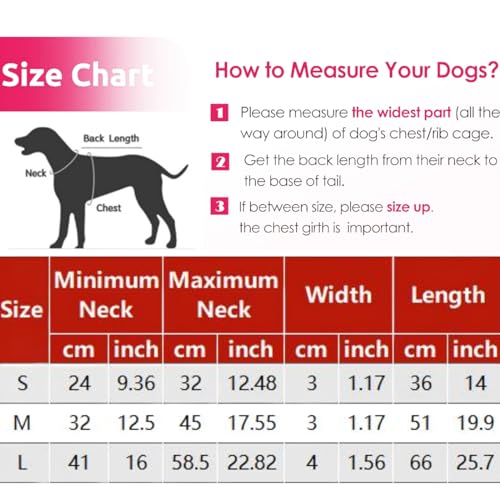 Collier de chien anti-perte réglable en polyuréthane imperméable - 5