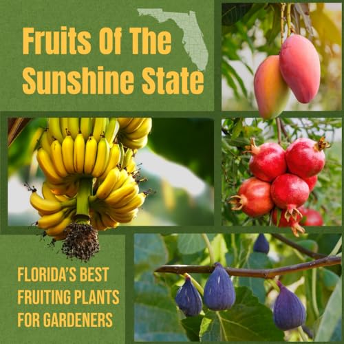 Fruits Of The Sunshine State: Florida’s Best Fruiting Plants For Gardeners