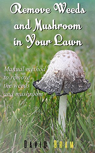 Remove Weeds And Mushroom In Your Lawn