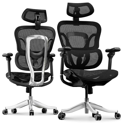 FLEXISPOT ErgoX Max Office Chair