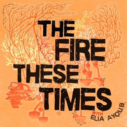 The Fire These Times cover art