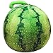 GFDFD Jouet en Peluche for Enfants Filles, poupée de Fruits pastèque créative en Peluche Melon d'eau Coussin Cadeau de décoration (Size : 22CM)