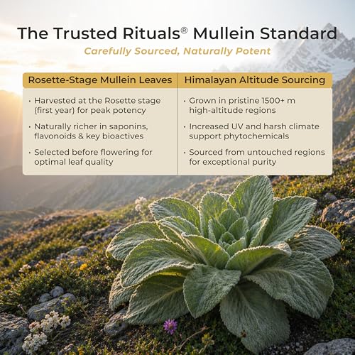 Image of Trusted Rituals Mullein Honey Sticks - 2000mg Mullein per Stick - Lung Detox & Respiratory Health Support - Mullein Leaf Extract Supplement with Raw Honey - Ginger Lemon Flavor - Throat Soothing & Seasonal Comfort - For Smokers and Seasonal Allergy Support - 30 Sticks