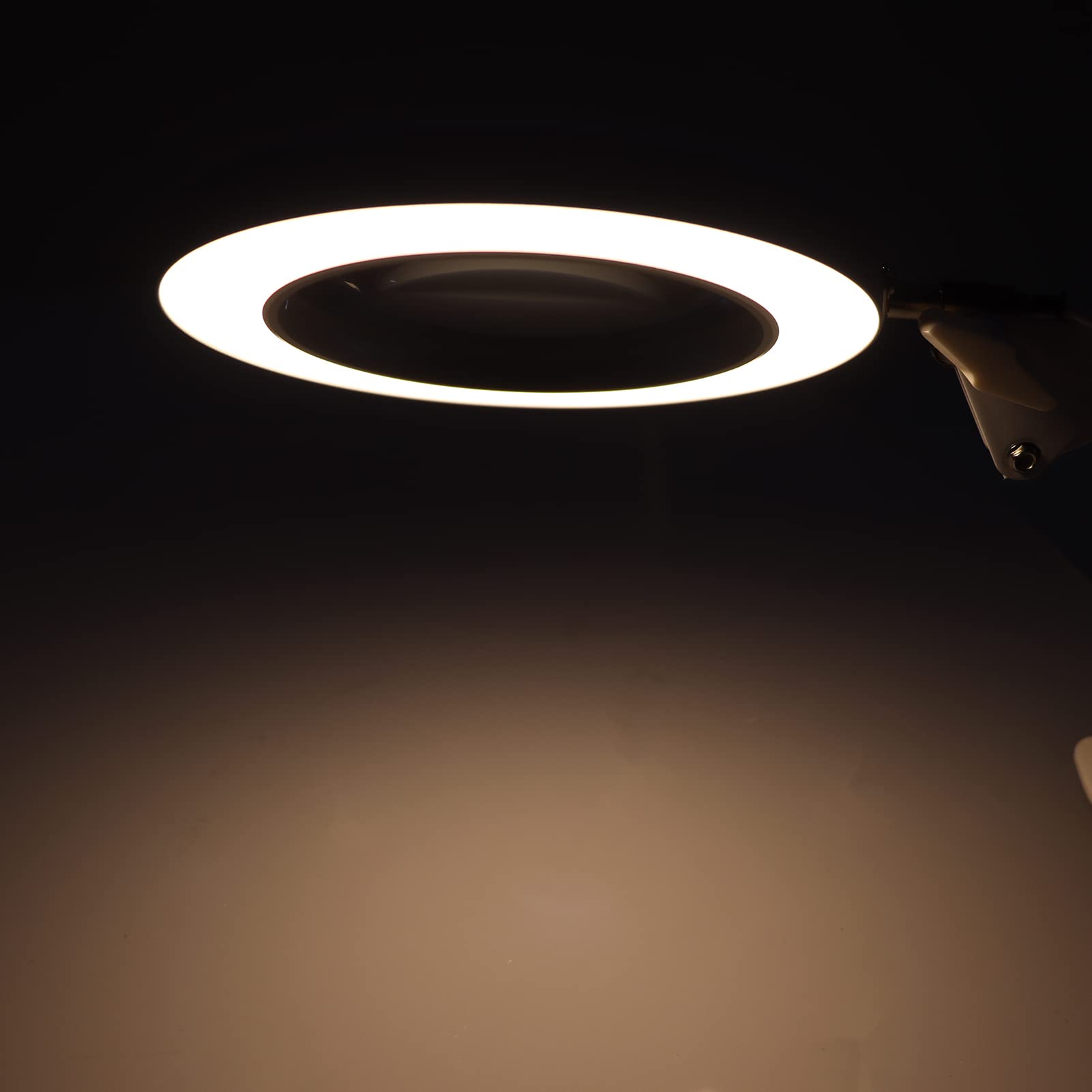 Lampada da Lettura con Clip, Lente d'ingrandimento in Lega di Alluminio con Luce, Lente 5X 3 modalità 11 luminosità Lampada con Morsetto Pieghevole per Libri, Scrivania, Lettura Artigianale