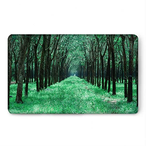 Tapis d'entrée intérieur absorbant paillasson extérieur vert déco