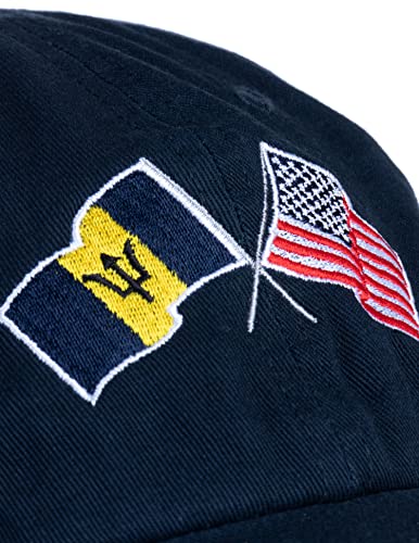 Image of Ann Arbor T-shirt Co. American Friendship Nations Flag Baseball Low Profile Dad Hat for Men Women