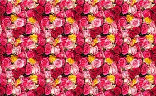 Image of S2S Rose Pry Backdrop Cloth for Pooja Decoration Traditional, Background Decoration Cloth | Curtain Cloth for All Festival, Functions & Ceremonies - (5 x 8 Feet) (Rose PRY)