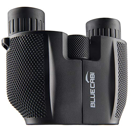 Binoculares Compactos 10x25 Plegables miniatura 3