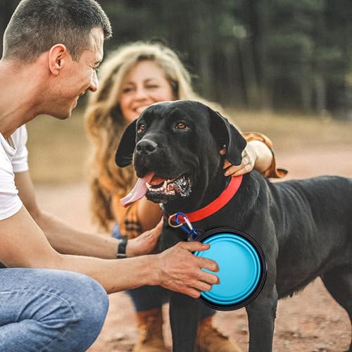Faltbarer Hundenapf 2 Stück Hundenapf Faltbar Wassernapf Tragbarer Hund Futternapf Haustier Reisenapf für Katzen, Hunde und Haustiere für Wasser und Futter (350ml)