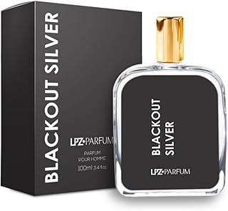 Perfume Masculino Blackout Silver- (Ref. Importada) - Inspirado No Silver Scent