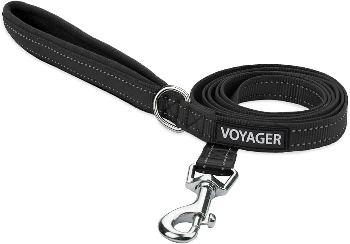 Voyager Nylon Dog Leash - Black, Small | 5ft in Length, 5/8" in Width, Reflective, Soft Neoprene Handle, Heavy Duty Metal Clips for Running, Walking & Training