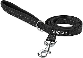 Best Pet Supplies Voyager Reflective Dog Leash or Collar with Neoprene Handle, for Small, Medium, and Large Breed Puppies, Cute and Heavy Duty for Walking, Running and Training - Black (Leash), L