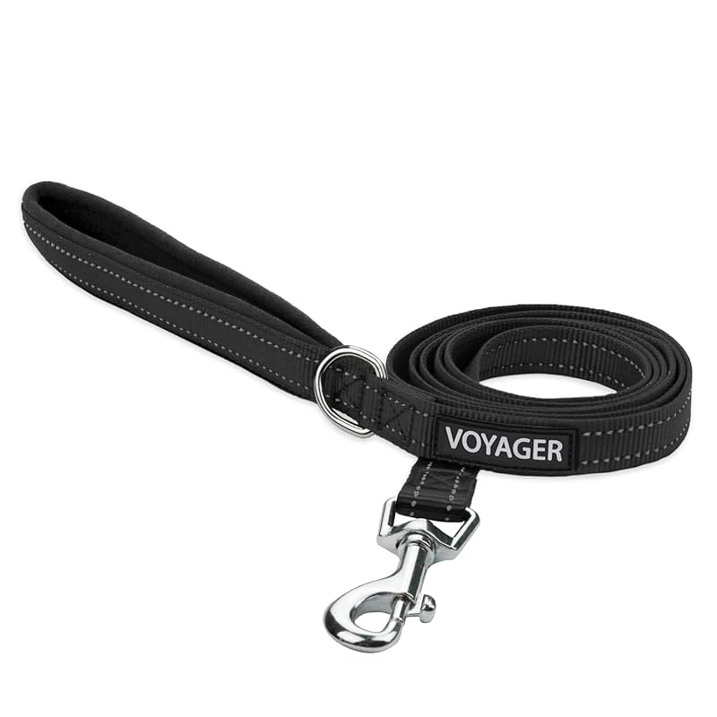 Guia básica para cães de nylon com alça de neoprene Best Pet Supplies Voyager Black, Small (1,59 cm x 1,52 m)