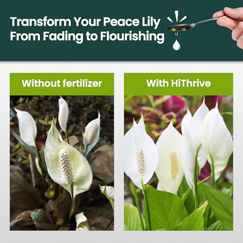Fertilizante líquido para planta Peace Lily 16 oz miniatura 3