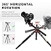 K&F Concept 74 inch Camera Tripod,Professional Center Axis Horizontal Tripods with Detachable Monopod,360 Degree Ball Head,Quick Release Plate Compatible with DSLR Cameras T254A6+BH-28L(SA254T3)