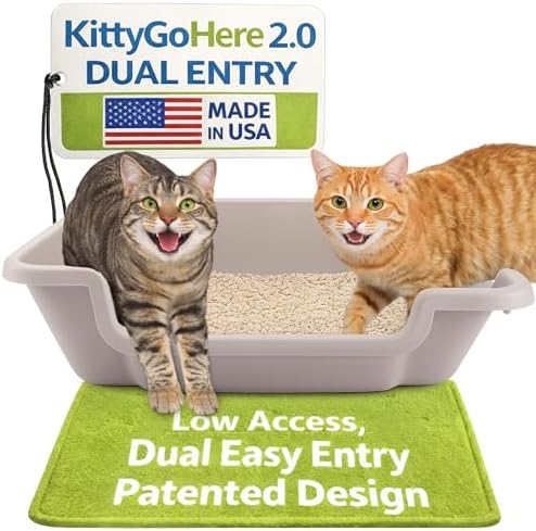 KittyGoHere 2.0 Easy-Entry Cat Litter Box – Large Open-Top Low En...