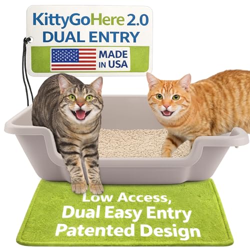 KittyGoHere 2.0 Easy-Entry Cat Litter Box Large Open-Top Low Entrance Litter Pan with Higher Sides & Two Entrances Ideal for Senior & Arthritic Cats Made in USA (Grey)