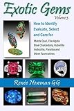  Exotic Gems Volume 3: How to Identify, Evaluate, Select and Care for Matrix Opal, Fire Agate, Blue Chalcedony, Rubellite Indicolite, Paraiba and Other Tourmalines (Newman Exotic Gems) by Renee Newman (2014-02-18)