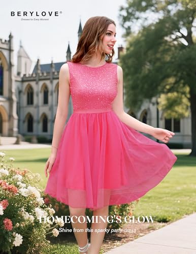 BeryLove Sequin Dress Vintage A Line Wedding Formal Swing Tulle Dress Sleeveless Cocktail Mini Dress3