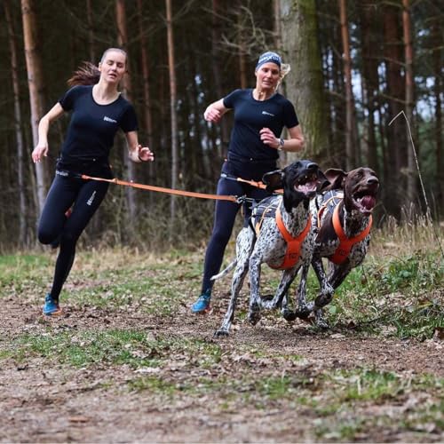 Non-stop dogwear CaniX Belt Pro, Schwarz, M