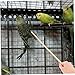 BESTonZON 2-Piece Bird Cage Cleaning Brush Set Droppings Shovel for Small Animal Cages for Parrots Rabbits and Chickens Household Cleaning Tools