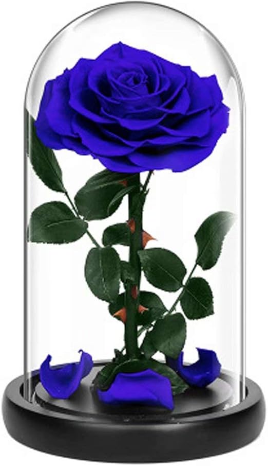 Amazon プリザーブドフラワー バラ ブルー ローズ 薔薇 花 可愛い ガラスドーム Ledライト付き 木製ベース ブリザードフラワー ロマンティック きれい おしゃれ 記念日 お祝い 結婚式 結婚記念日 退職祝い 誕生日 両親 妻 友達 母親 女性 義母 プレゼント ギフト 贈り物 Amazon プリザーブドフラワー バラ ブルー ローズ 薔薇 花 可愛い ガラスドーム Ledライト付き 木製ベース ブリザードフラワー ロマンティック きれい おしゃれ 記念日 お祝い 結婚式 結婚記念日 退職祝い 誕生日 両親 妻 友達 母親 女性 義母 プレゼント ギフト 贈り物
