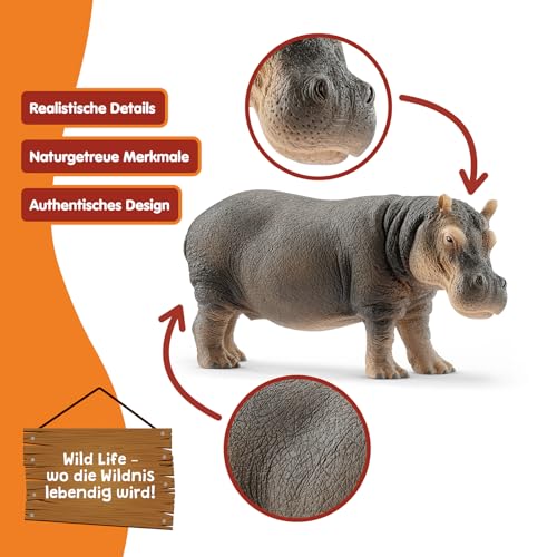 SCHLEICH WILD Life | Flusspferd 14814 | detailgetreue Tierfiguren | Zoo Spielzeug | tolles Geschenk für Jungen und Mädchen | Deko für Geburtstag | Spielfigur ab 3 Jahren | 13 x 5 x 6 cm
