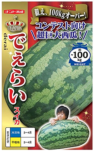 �i���g��c �ł��炢(������)