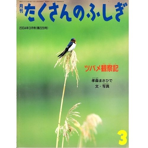 月刊　たくさんのふしぎ２００４年3月 (ツバメ観察記)