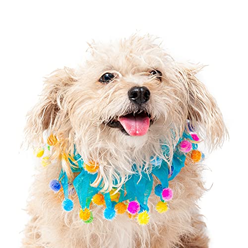 Midlee Blue Birthday Pom Pom Dog Collar (Large) #TOP4