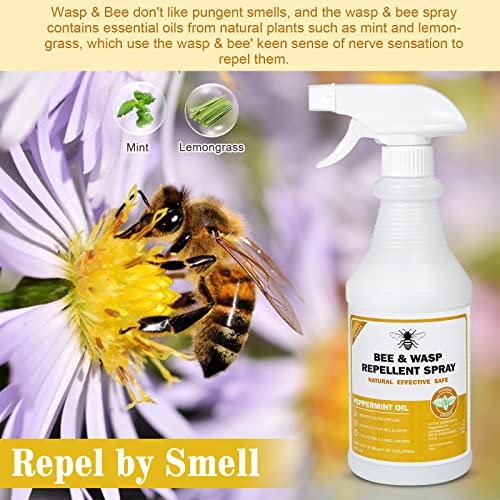 Wasp And Hornet Killer Spray With Natural Plant-Based Oils, Carpenter Bee Spray Repels Wasps, Hornets, Carpenter Bees And Yellow Jackets For Outdoors/Indoors Areas, 16Oz … (A1) #TOP1