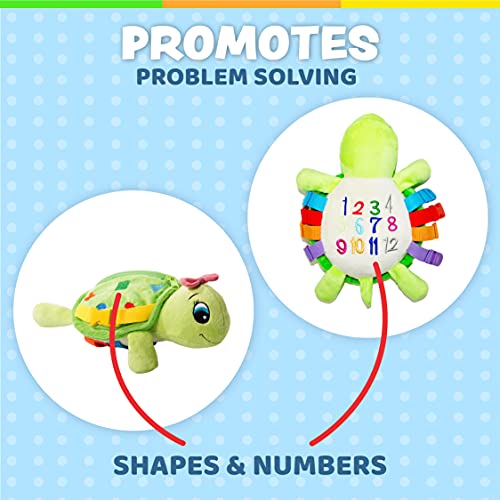 Buckle Toys - Belle Turtle - Learning Activity - Develop Motor Skills And Problem Solving - Counting And Color Recognition - Airplane Travel Essentials Kids #TOP3