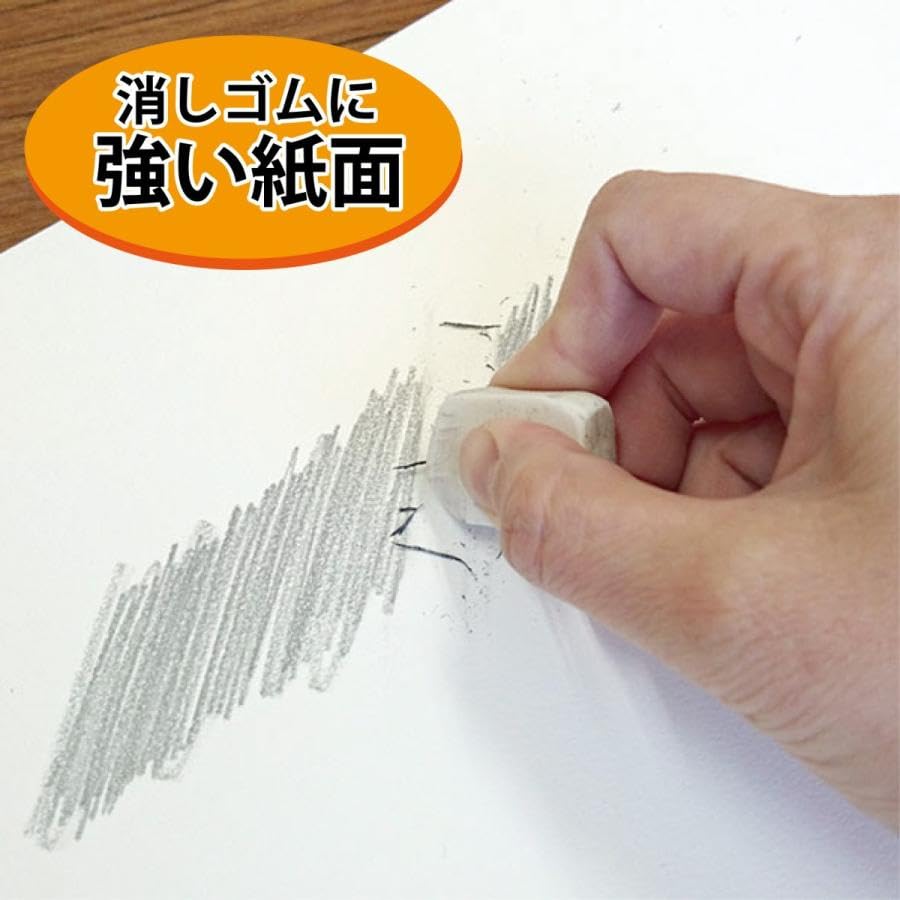 聖橋から 水彩画 　サイズF10 聖橋から 水彩画 サイズF10 聖橋から見た風景 水彩画 サイズF10 絵画