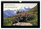 Alpine Flora in der Homöopathie (Wandkalender 2023 DIN A4 quer), Calvendo Monatskalender - Claudia Schimon 