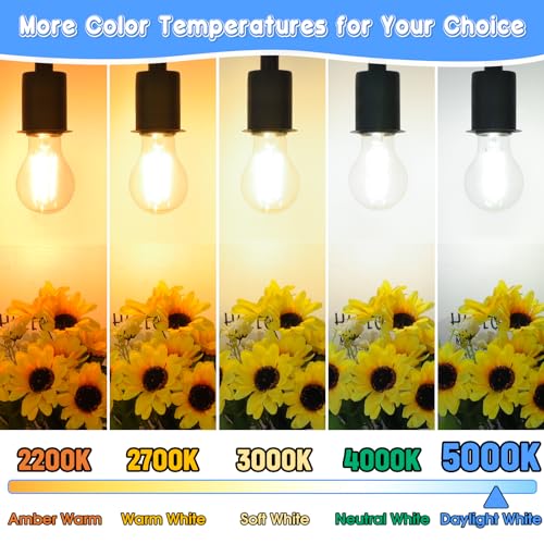 Maxvolador NC-FA19-0650-4 60W Equivalent E26 Led Filament Light Bulbs, 850Lm Daylight White 5000K Led Edison Bulb thumb #8
