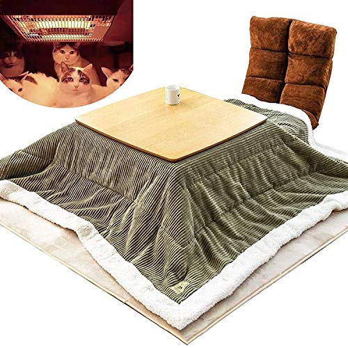 Find The Best Kotatsu Table With Heater Reviews & Comparison Katynel