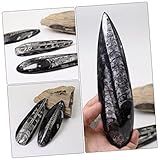 Zoom IMG-1 toyandona paleontologia decorazione esempio creativo Zoom IMG-1 toyandona paleontologia decorazione esempio creativo