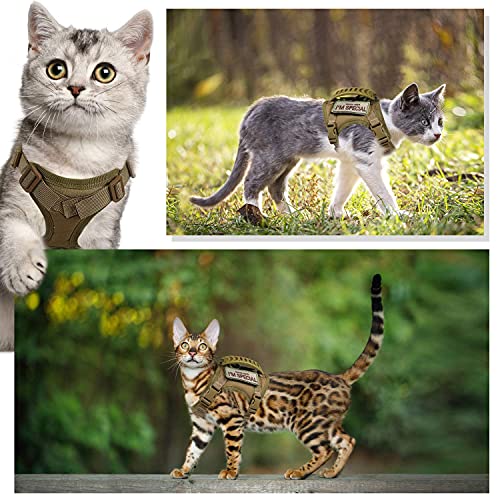 Tactical-Cat-Harness-for-Walking-Escape-Proof-Soft-Mesh-Adjustable-Pet-Vest-Harness-for-Large-CatSmall-Dog