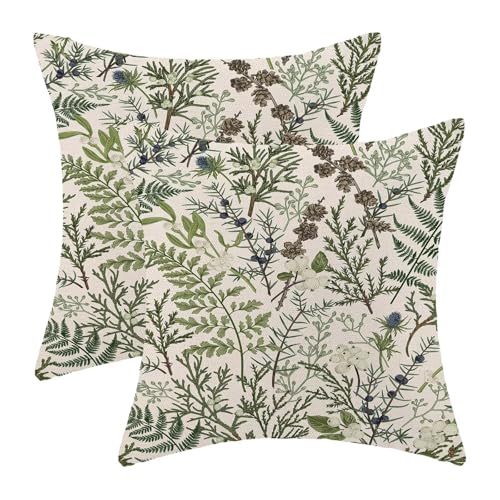 BETGINY Lot de 2 housses de coussin décoratives à motif floral de printemps et de ferme, pour extérieur, canapé, sofa, 40 x 40 cm, vert sauge