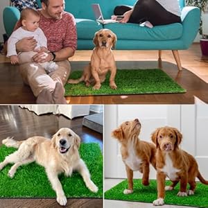 Peepadsfordogswithfakegrass27x21indoorartificialgrassfordogspottylawnpeepadsfordoggiewashablereusableandlawnforreplacementpuppytraininglitterboxforoutdoorpatio Urban Country Home Decor Pee pads for dogs with fake grass 27 x 21 indoor artificial grass for dogs potty lawn pee pads for doggie washable reusable and lawn for replacement puppy training litter box for outdoor patio urban country home decor