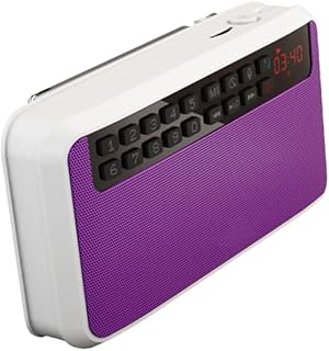 KICHOUSE Alto-Falantes Ao Ar Livre Alto-Falante Do Telefone Alto-Falante Roxo Alto-Falante De Trilha Dupla Alto-Falante Baixo Trompete Telefone Celular Baixo Alto-Falante E500