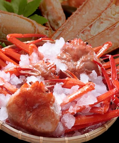 .RA 䥂łĖⓀ gYCKj p `Y 󂠂 l䥂 xjYCKj ׂɂ킢 2kgZbgi4`5j   Jj I