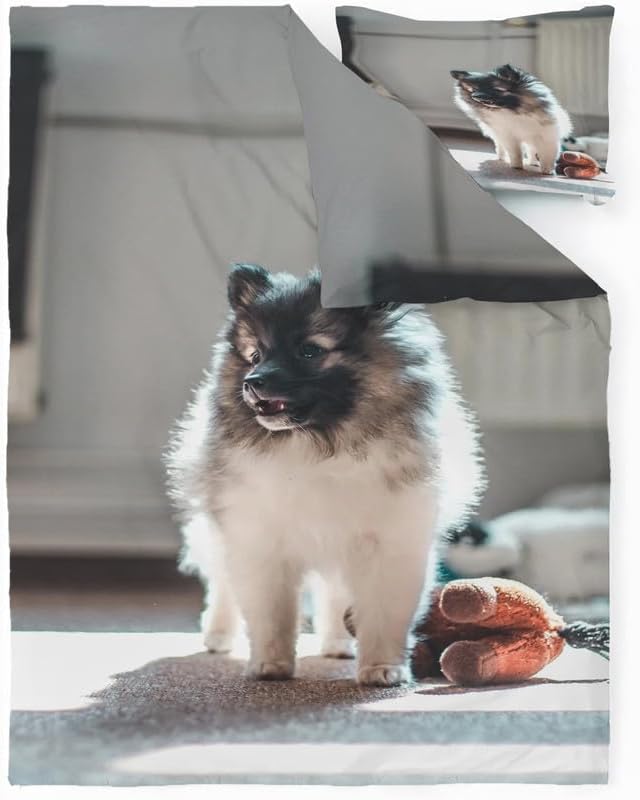 Miniatura 2 de Keeshond - Juego de funda de edredón con estampado de perro, funda de edredón de microfibra suave y 2 fundas de almohada de 20 x 26 pulgadas, juego