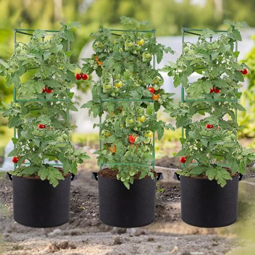 Support de croissance pour tomate et tuteur légume pour jardinière extérieure - 3