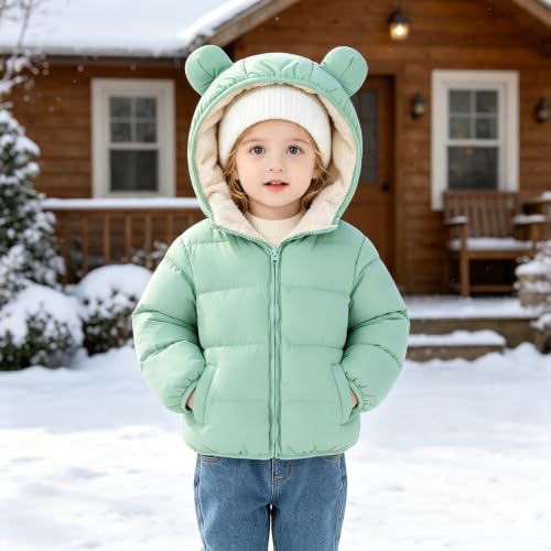 Image of BFUSTYLE Baby Toddler Coats Boys Girls Bear Ear Hooded Puffer Jackets 6M-5T