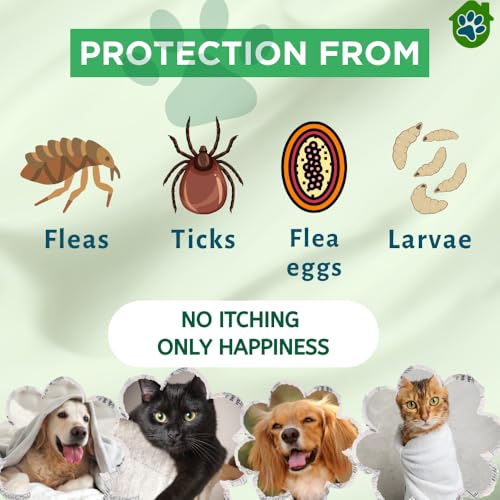 Image of Neem & Aloe Vera Pet Shampoo for Dogs & Cats | Anti Tick & Flea Control | Ayurvedic Paraben-Free Pet Shampoo for Sensitive Skin | Cleans, Moisturises & Controls Odour | 200ml