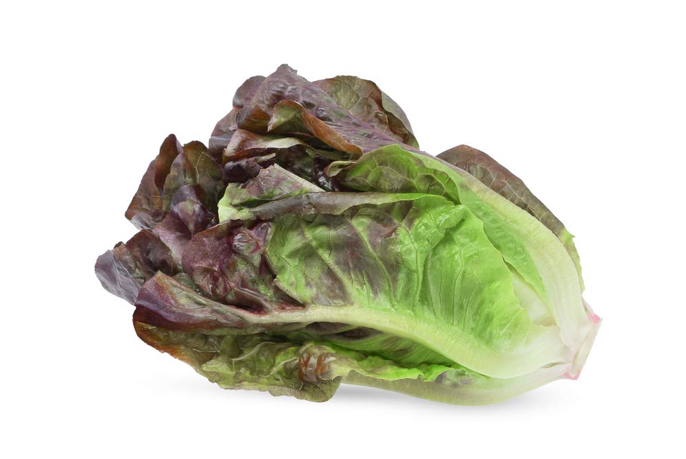 Abundant Yield Red Romaine Lettuce Seeds for Home Gardening-200 Seeds-picture-26